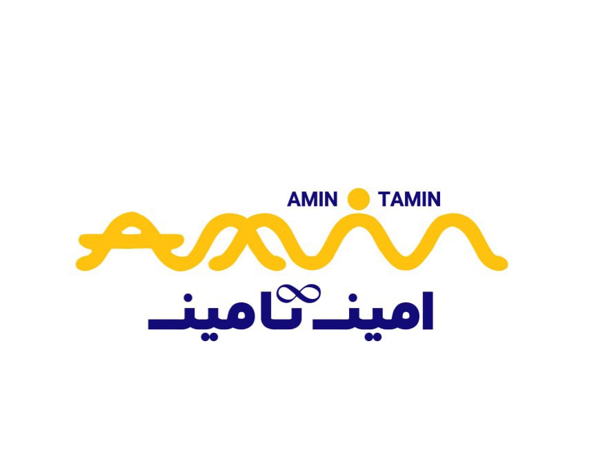 امین تامین